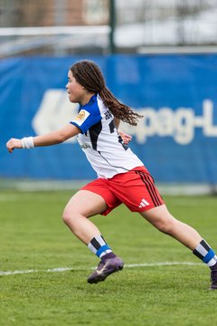 Bild 203 - wBJ Hamburger SV - Eimsbuettler TV : Ergebnis: 4:0